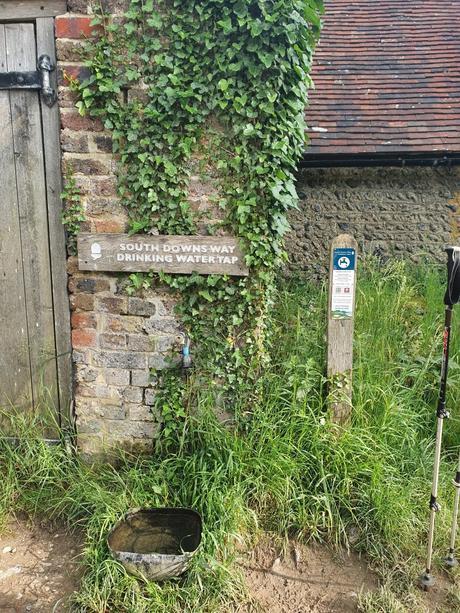 The South Downs Way The South Downs Way