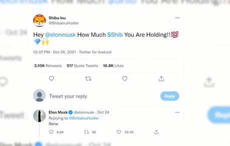 Shiba Inu Twitter