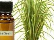 Vetiver Oil; Helps Improve Mental Conditions Like Stress, Anxiety, Depression