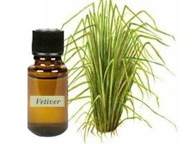 Vetiver is sometimes applied directly to the skin for relieving stress