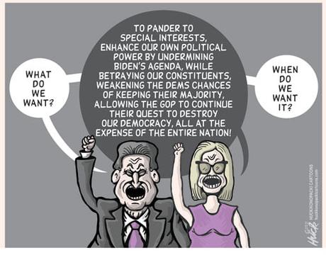 False Flag Dems