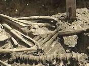 Oldest Murder Mystery Finally Been Solved Scientists