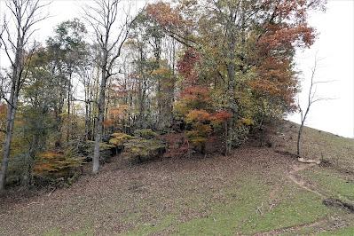 November Scenes