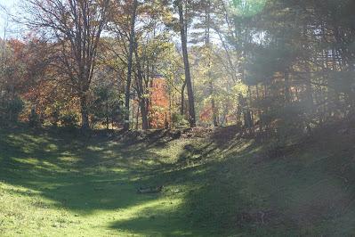 November Scenes