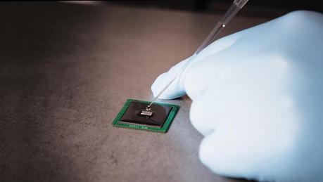 Biodetection, a technology that guides the entry and presence of pathogens, can identify these pathogens. worldwide biodetection market is expected to grow at a significant rate.