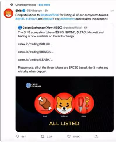 Shib tweeter handle Shib tweeter handle