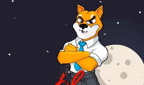 Shiba Inu tokens Shiba Inu tokens