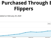 Website Flipping Master Mushfiq Grows Purchases (175+ Flips)