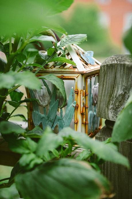 Reflections on the Flower Garden as the Seasons Change