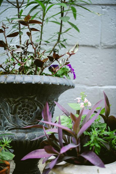 Reflections on the Flower Garden as the Seasons Change