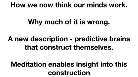 A MindBlog lecture - A New Vision of how our Minds Work