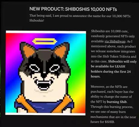 Shytoshi disclosed in a recent Shiba Inu Official Medium update Shytoshi disclosed in a recent Shiba Inu Official Medium update