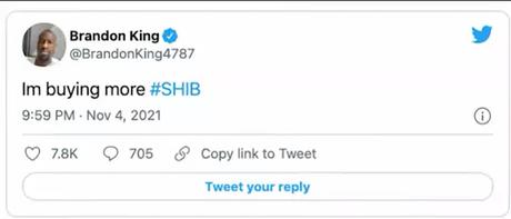 Brandon King addressed Shiba Inu last week in his Twitter thread Brandon King addressed Shiba Inu last week in his Twitter thread