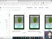 Right Purchase 2016 RarePepe NFTs?