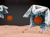 Viruses Could Trapped Rendered Harmless Nanoscale Virus Trap Molecule