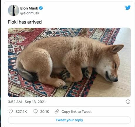 elon musk floki elon musk floki