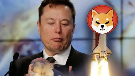 elon musk and shiba inu coin elon musk and shiba inu coin