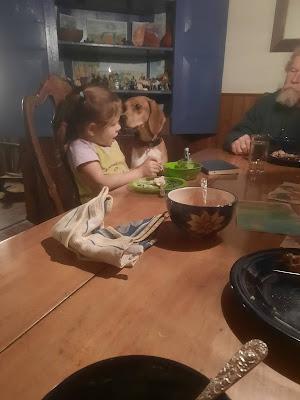 Settling In Nicely