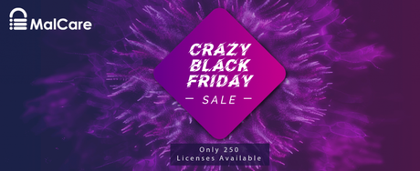 black friday wordpress deal