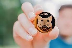 Does Shib coin have any potential Does Shib coin have any potential