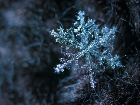 Story of the world’s largest snowflake – facts about snow