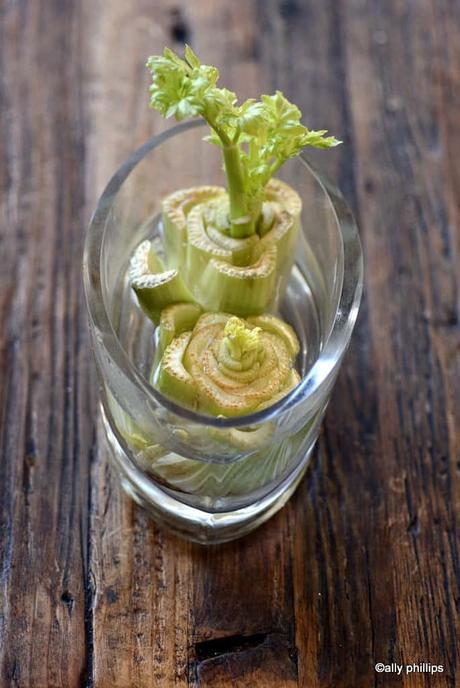 Easy Food Hack: Can Limp Celery be Revived