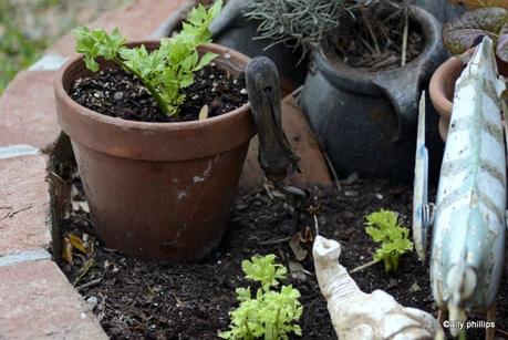 Easy Food Hack: Can Limp Celery be Revived