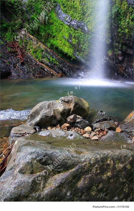 If you're a sole proprietor, a business plan template designed for a big corporation probably doesn't make sense. Tropical Rainforest Waterfall Stock Photo I1176196 at