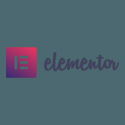 Elementor Transparent Logo