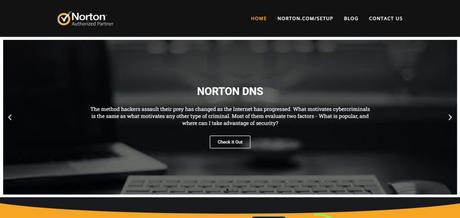 Norton DNS