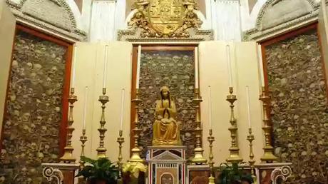 The honeycomb skull The honeycomb skull