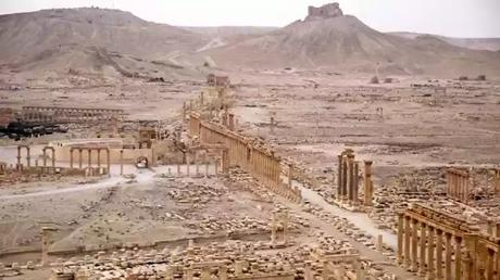 The Palmyra Desert The Palmyra Desert