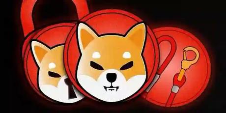 the CEO of a prominent crypto exchange is committed to holding Shiba Inu for the long run the CEO of a prominent crypto exchange is committed to holding Shiba Inu for the long run