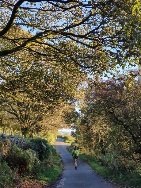 The Roaches and Lud’s Church Loop