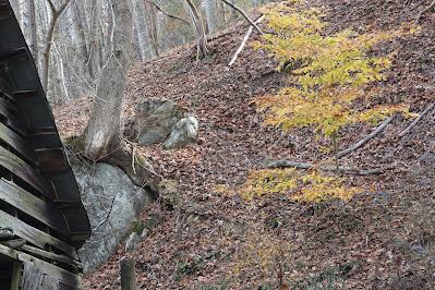 In Mid-November