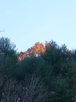 In Mid-November