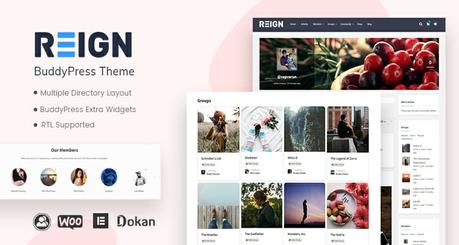 Reign BuddyPress Theme