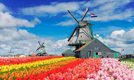 We are very grateful with mr. Windmills in the Netherlands