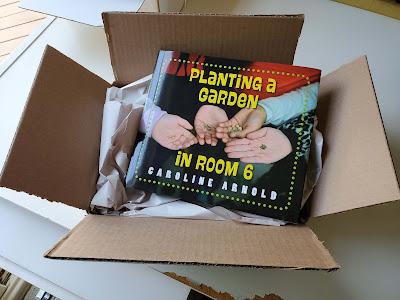 PREVIEW OF NEW BOOK: PLANTING A GARDEN IN ROOM 6 From Seeds to Salad