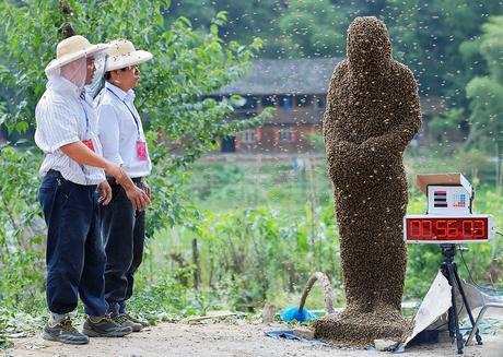 Email signatures can go in one of several places — but wherever you put it, everything that follows below the signature is treated like a part of it. Write Your Own Caption: Bee Bearding Contest | syracuse.com