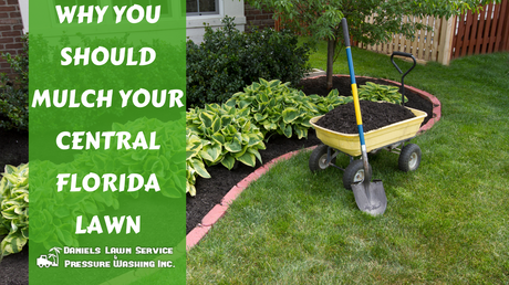 Why You Should Mulch Your Central Florida Landscape in the Fall