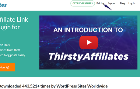 thirstyaffiliates pricing