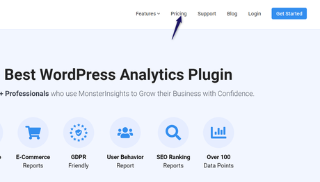 monsterinsights pricing