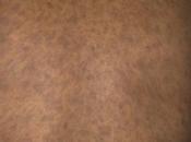 Ayurvedic Medicines Erythema Dyschromicum Perstans (EDP)