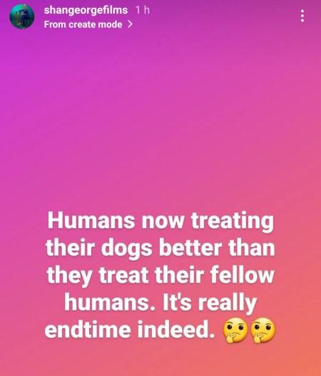 People Now Treating Their Canines Higher Than They Deal with Their Fellow People