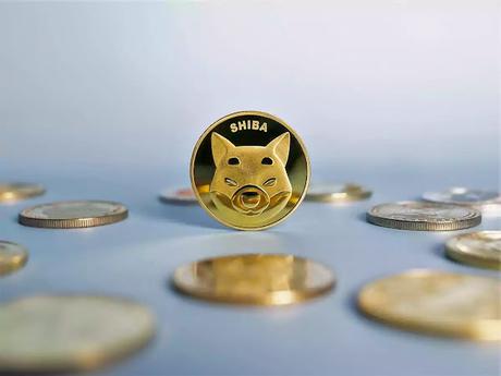 Why Should You Never Sell Your Shiba Inu Coin Why Should You Never Sell Your Shiba Inu Coin