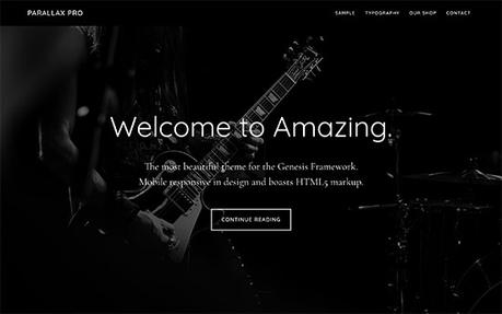WordPress Theme: Parallax Pro