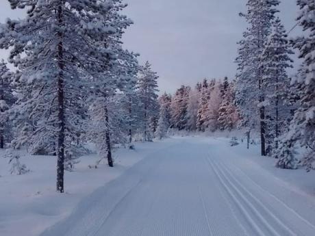 Cross-country skiing is a great hobby for both body and mind