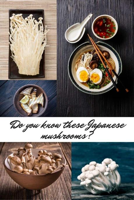Different types of Japanese mushrooms