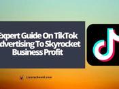 Expert Guide TikTok Advertising Skyrocket Business Profit